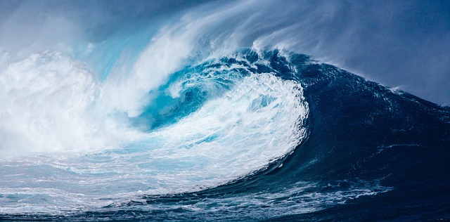 mořská vlna